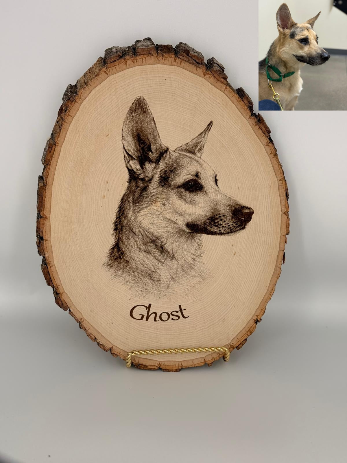 4. Dog Lover Collection